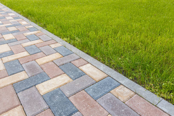 Best Driveway Drainage Solutions in Citronelle, AL